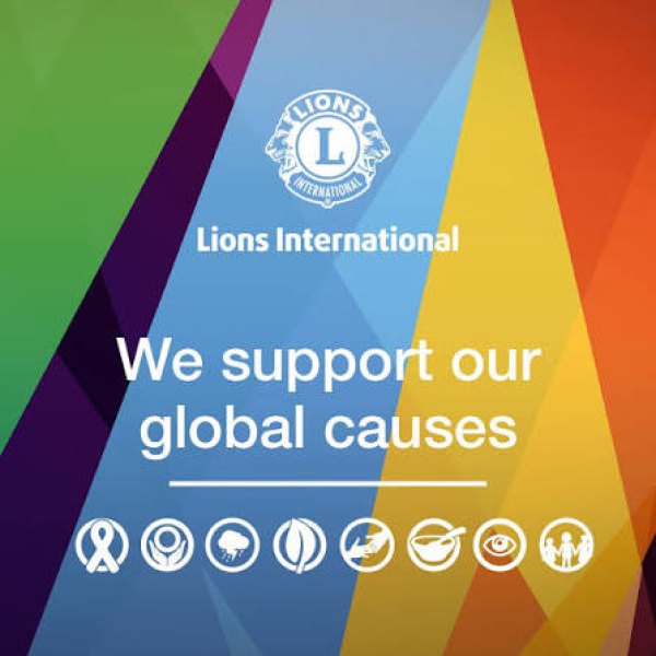 Cauzele globale Lions International