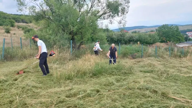 Cosirea ierbii pe terenul adăpostului — 2