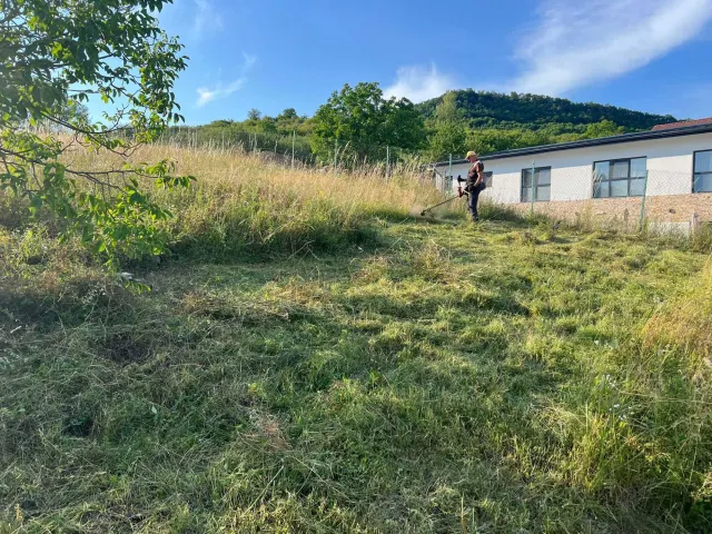 Cosirea ierbii pe terenul adăpostului — 3