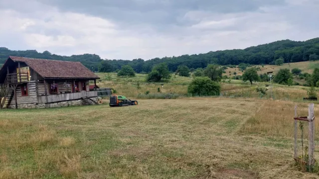 Întreținerea Căsuței lui Mihai – Parcul Perilor Seculari — 3