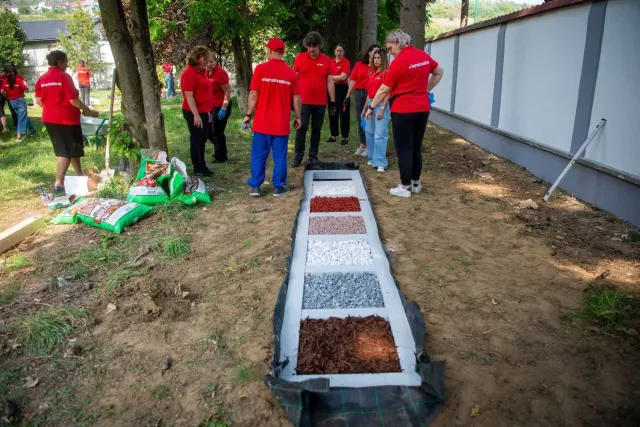 Împreună dăm culoare școlii — 8