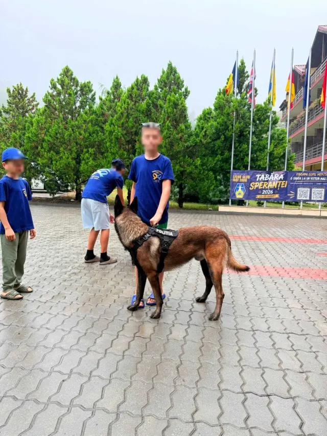 Tabăra internațională de oncopediatrie, Iași, august 2026 — 5