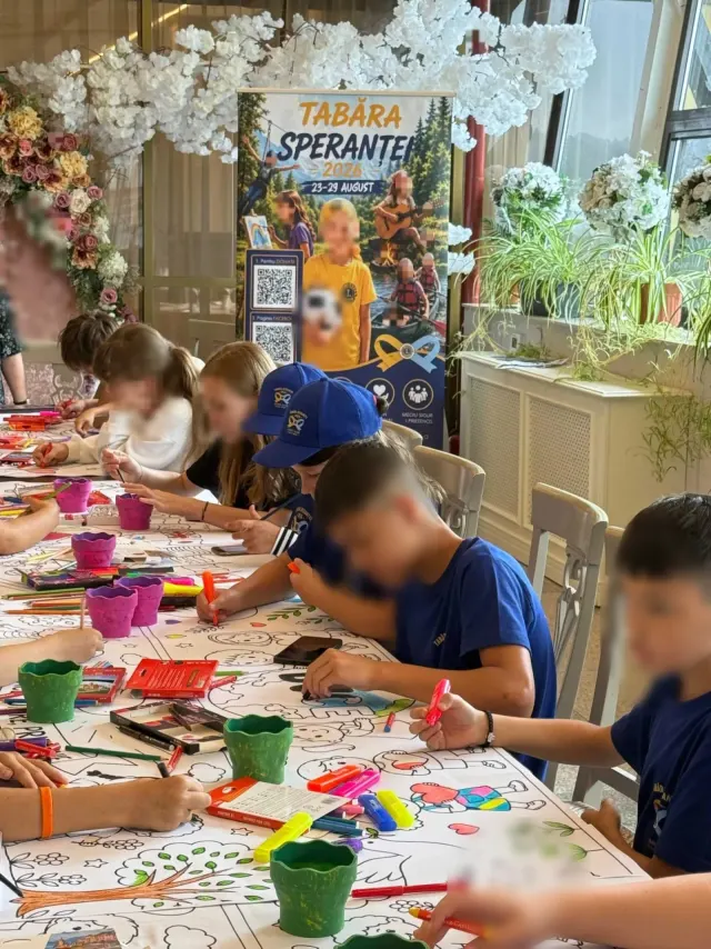 Tabăra internațională de oncopediatrie, Iași, august 2026 — 8
