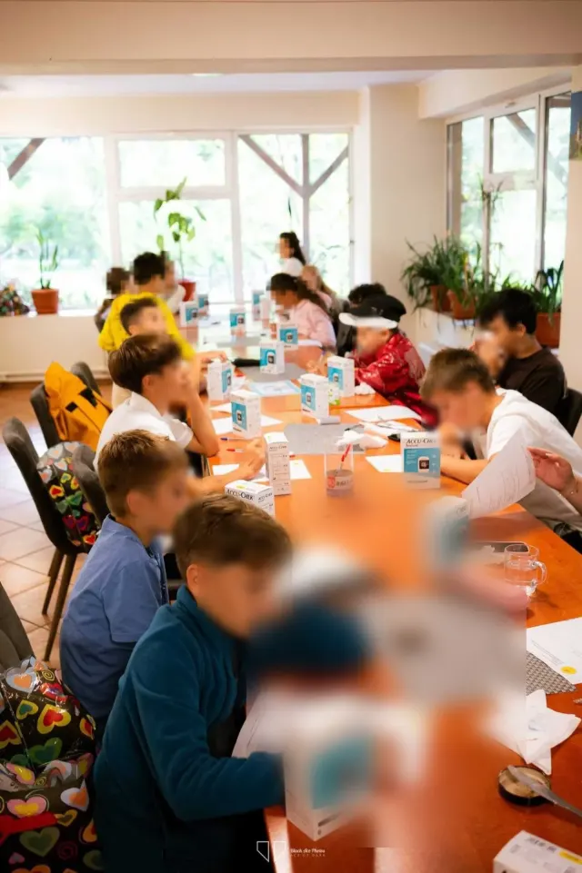 Tabăra de diabet de la Valea Negrașului, 30 august – 4 septembrie 2026 — 5