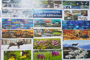 Promovare Ziua mondiala a vietii salbatice - Lions Club Timisoara Dinamic Plus