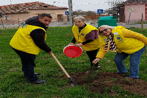 Program Educatie prin Voluntariat- Proiect Eco Mediu la Ciacova - Lions Club Timisoara Dinamic Plus