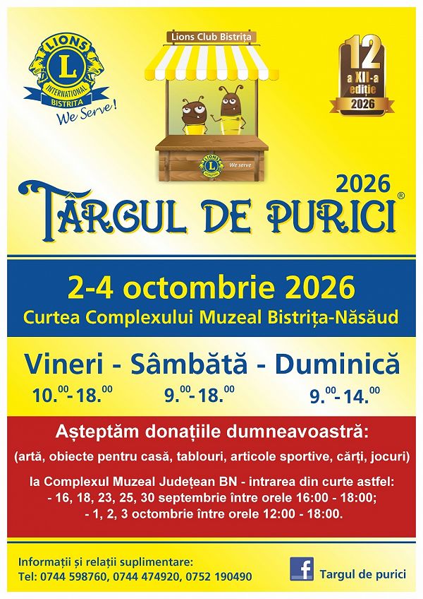 Târgul de purici - Lions Club Bistrița